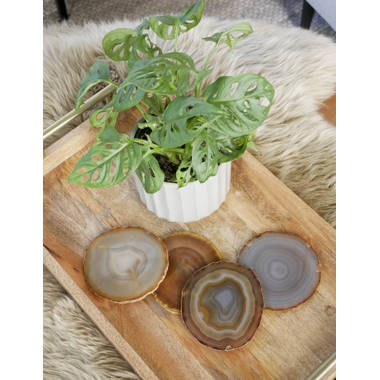 HelloPosh Natural Agate Coasters Unplated Wayfair